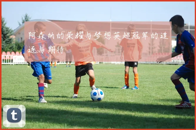 阿森纳的荣耀与梦想英超冠军的追逐与期待